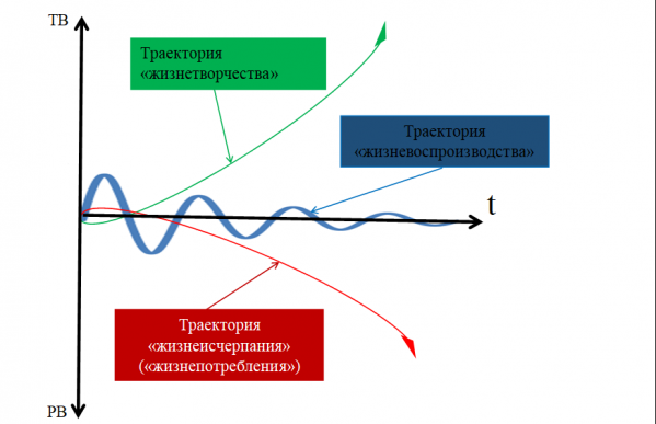 Профессиональная траектория это